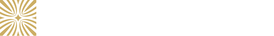 Vertical Vision Services